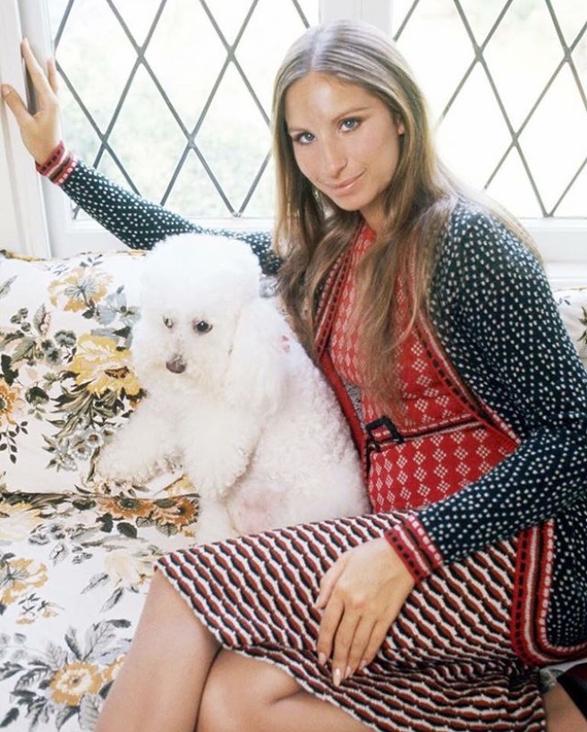 昔から愛犬家だったバーブラ・ストライサンド（画像は『Barbra Streisand　2017年10月27日付Instagram「With dear little Sadie in 1974. ＃tbt」』のスクリーンショット）