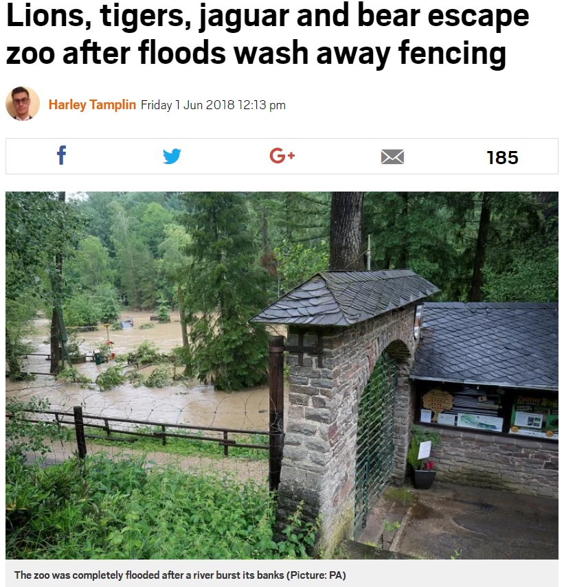 洪水でフェンスが壊れ、猛獣らが外へ…（画像は『Metro　2018年6月1日付「Lions, tigers, jaguar and bear escape zoo after floods wash away fencing」（Picture: PA）』のスクリーンショット）