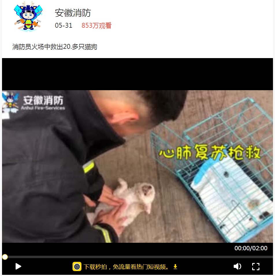 火災発生のペットショップで消防署員が犬猫の救助に尽力（画像は『安徽消防　2018年5月31日付Miaopai「消防员火场中救出20.多只猫狗」』のスクリーンショット）