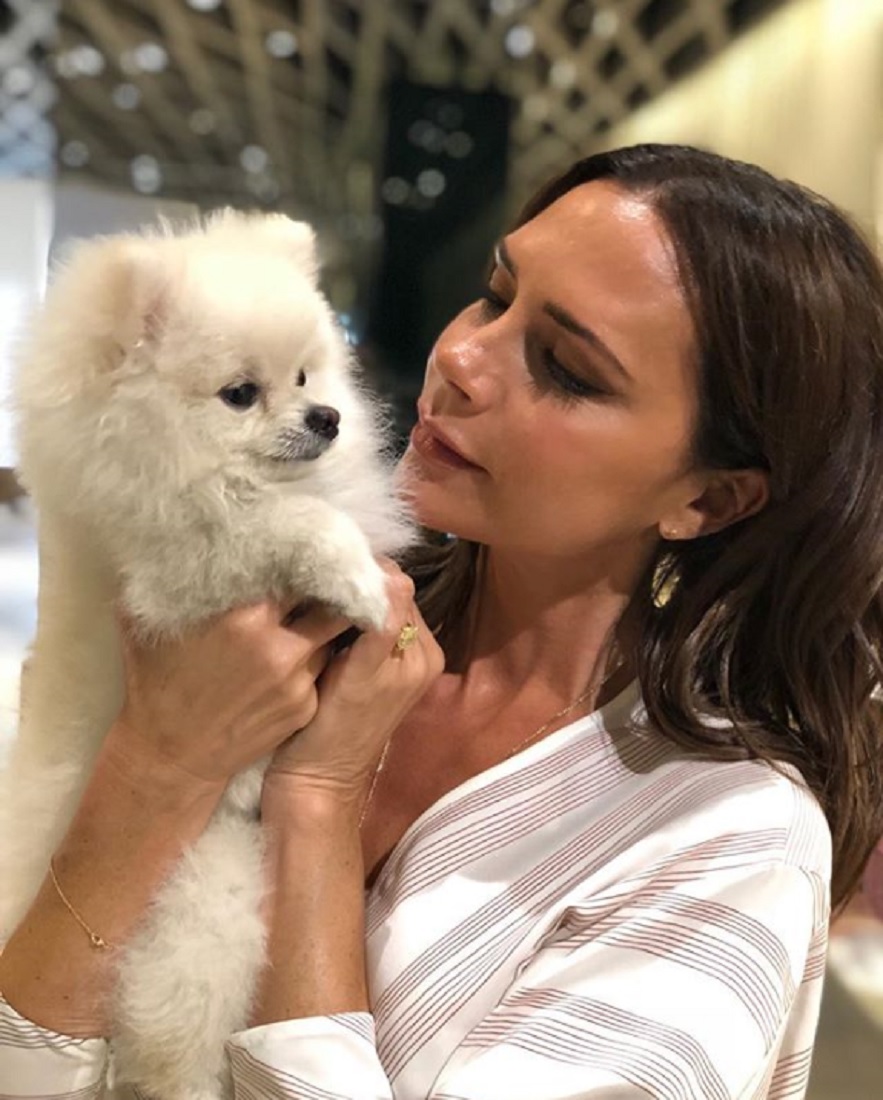 ヴィクトリアは興味なし？（画像は『Victoria Beckham　2018年6月15日付Instagram「The cutest little guest in my store!!」』のスクリーンショット）