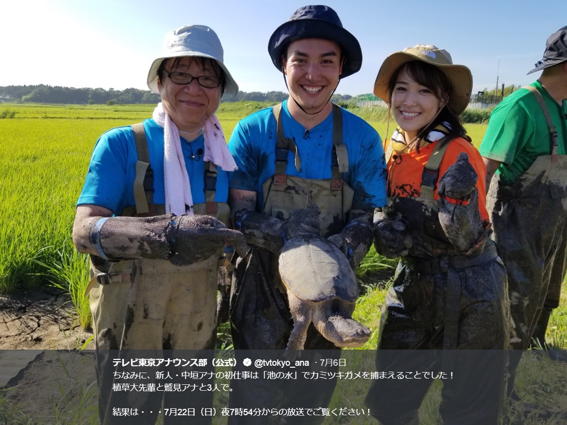 植草朋樹アナ、中垣正太郎アナ、鷲見玲奈アナ（画像は『テレビ東京アナウンス部（公式）　2018年7月6日付Twitter「ちなみに、新人・中垣アナの初仕事は「池の水」でカミツキガメを捕まえることでした！」』のスクリーンショット）