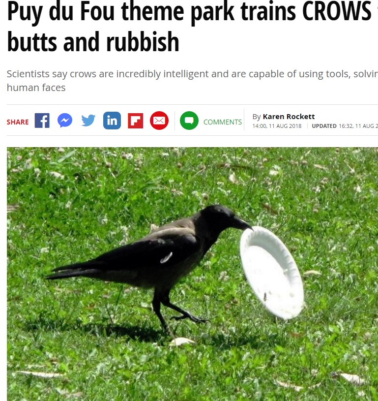 カラスがゴミ拾いで活躍！（画像は『Mirror　2018年8月11日付「Puy du Fou theme park trains CROWS to pick up cigarette butts and rubbish」』のスクリーンショット）