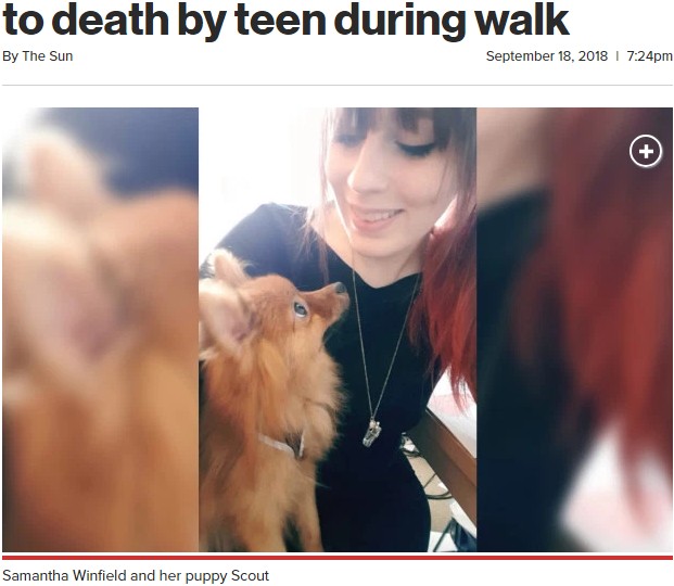 少年グループに襲われて殺された子犬（画像は『New York Post　2018年9月18日付「Dog owner says pup was kicked to death by teen during walk」（Facebook）』のスクリーンショット）