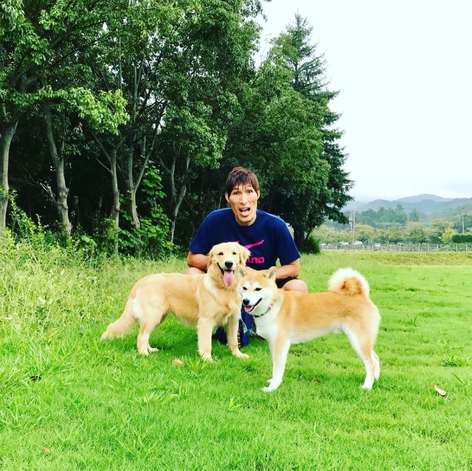 篠原信一と愛犬のニコちゃん＆小鉄くん（画像は『篠原信一　2018年9月16日付Instagram「小鉄とニコの大冒険 今日の朝の散歩」』のスクリーンショット）