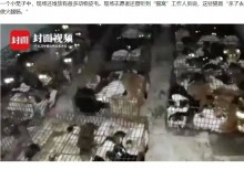 【海外発！Breaking News】盗まれた飼い猫375匹が違法屠殺場から救出される（中国）