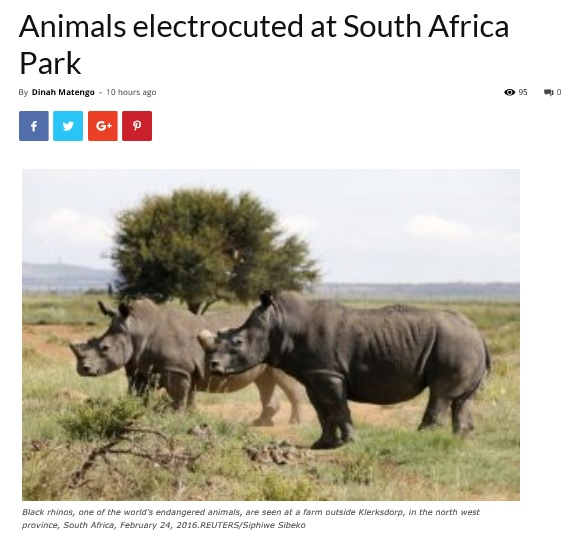 貴重な野生動物が命を落とす（画像は『CGTN Africa　2019年1月30日付「Animals electrocuted at South Africa Park」（REUTERS/Siphiwe Sibeko）』のスクリーンショット）