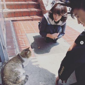 【エンタがビタミン♪】『今日から俺は!!』“伊藤健太郎×清野菜名×猫”ショットに福田監督が胸キュン