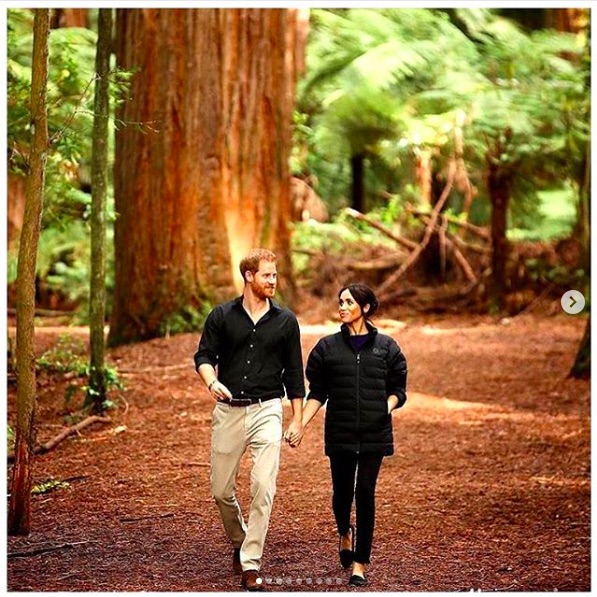 ヘンリー王子夫妻、アフリカ移住計画の真相は…？（画像は『The Duke and Duchess of Sussex　2019年4月22日付Instagram「Today is ＃earthday」』のスクリーンショット）