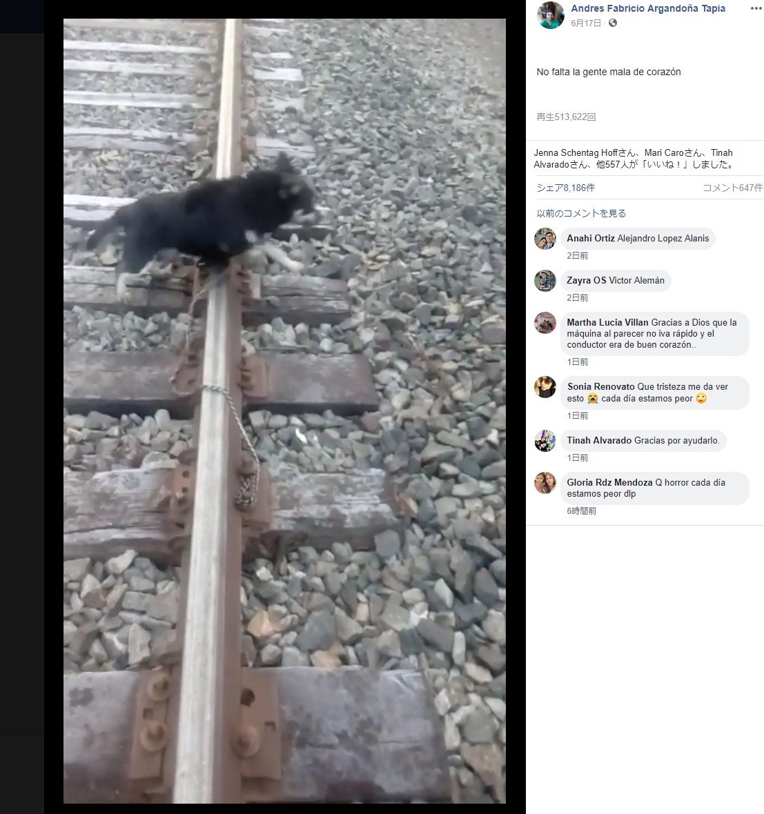 線路に繋がれていた犬（画像は『Andres Fabricio Argandoña Tapia　2019年6月17日付Facebook「No falta la gente mala de corazón」』のスクリーンショット）