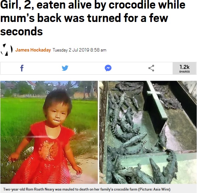 亡くなった2歳児と家族が経営するワニ養殖場（画像は『Metro　2019年7月2日付「Girl, 2, eaten alive by crocodile while mum’s back was turned for a few seconds」（Picture: Asia Wire）』のスクリーンショット）
