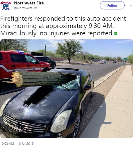 運転席に突き刺さる巨大なサボテン（画像は『Northwest Fire　2019年7月10日付Twitter「Firefighters responded to this auto accident this morning at approximately 9:30 AM.」』のスクリーンショット）