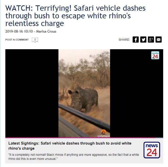 サファリカーを追いかけるシロサイ（画像は『Traveller24　2019年8月16日付「WATCH: Terrifying! Safari vehicle dashes through bush to escape white rhino’s relentless charge」』のスクリーンショット）