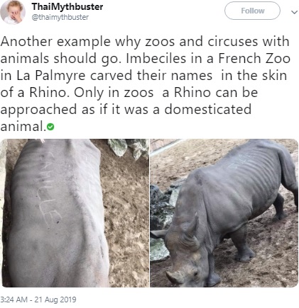 サイの背中に爪で書かれた名前（画像は『ThaiMythbuster　2019年8月21日付Twitter「Another example why zoos and circuses with animals should go.」』のスクリーンショット）