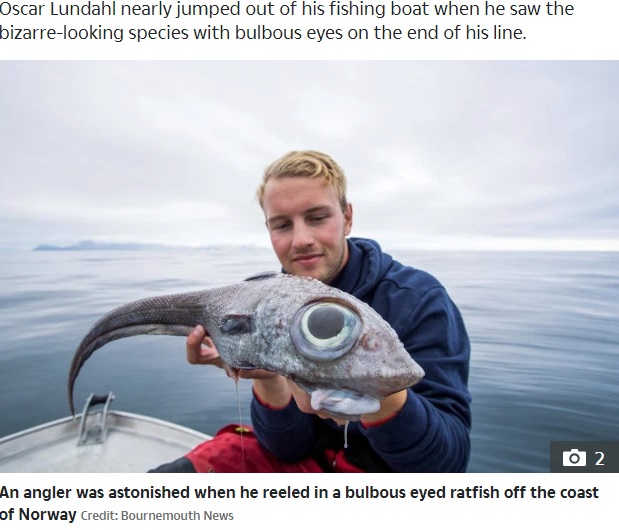 まるでエイリアンのような魚（画像は『The Sun　2019年9月16日付「EYE, EYE, CAPTAIN! Fisherman baffled after reeling in terrifying alien-like creature with giant eyes off Norwegian island」（Credit: BOURNEMOUTH NEWS）』のスクリーンショット）