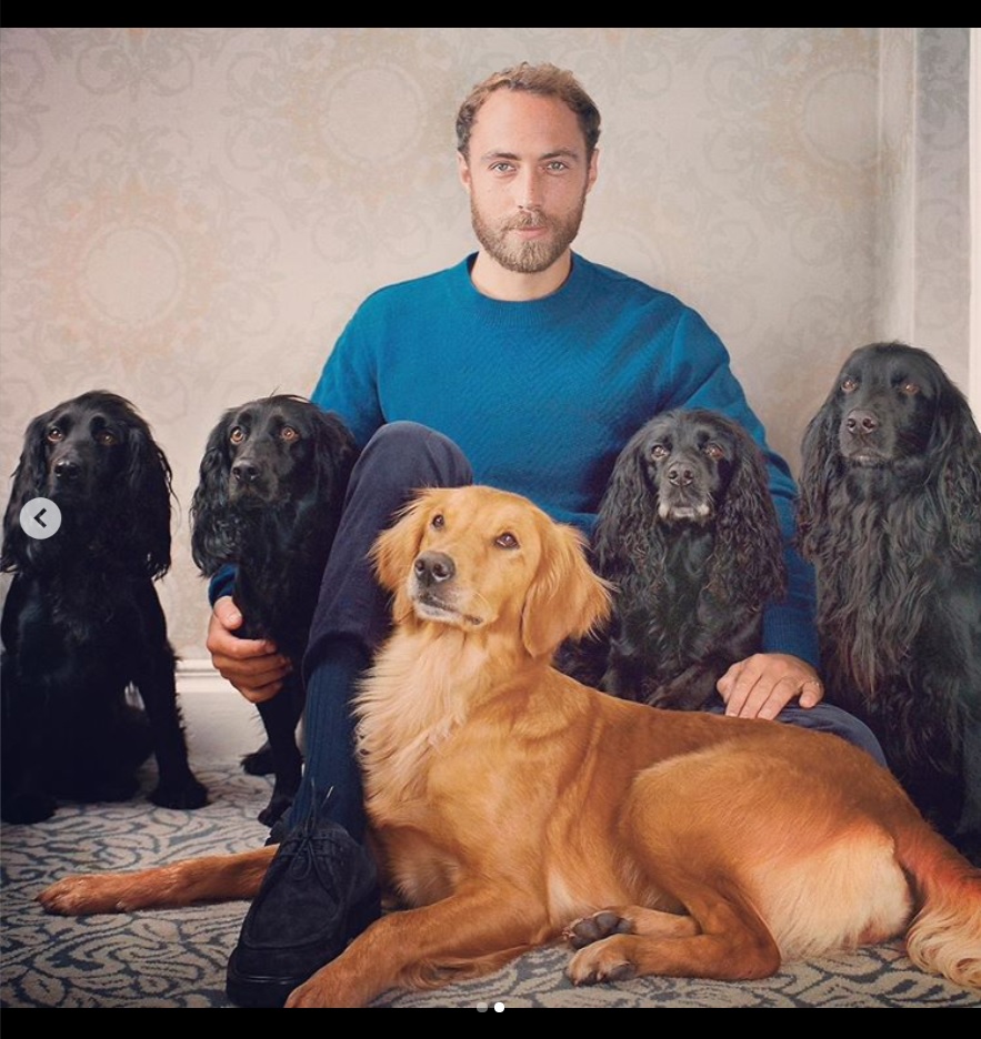 5匹の愛犬とジェームズ・ミドルトンさん（画像は『James Middleton　2019年10月12日付Instagram「I speak out about my depression in the hope it resonates with someone who might be struggling.」』のスクリーンショット）