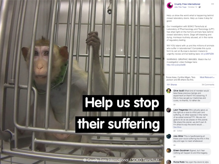 小さな檻に入れられた猿（画像は『Cruelty Free International　2019年10月12日付Facebook「Help us show the world what is happening behind closed laboratory doors. Help us make it stop for good.」（Cruelty Free International/SOKO Tierschutz）』のスクリーンショット）