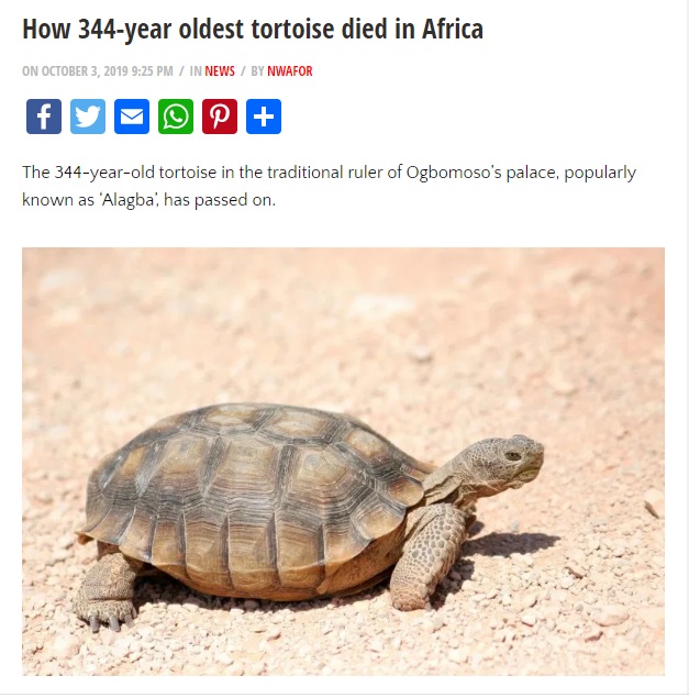 「344歳で死んだ」と伝えられたカメ（画像は『Vanguard　2019年10月3日付「How 344-year oldest tortoise died in Africa」』のスクリーンショット）