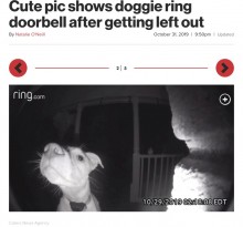 【海外発！Breaking News】飼い主にうっかり締め出された犬、夜中に帰宅してドアホンを鳴らす（米）＜動画あり＞