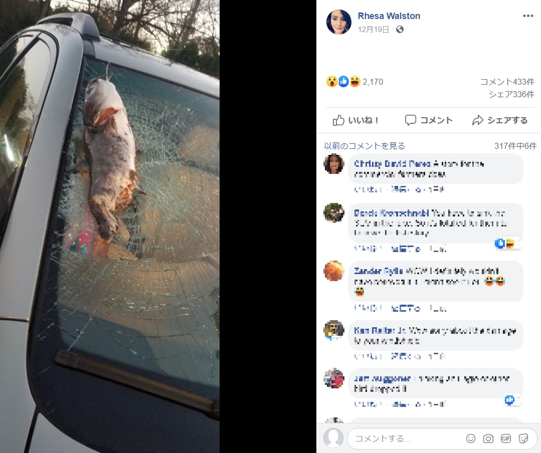 ナマズによってフロントガラスに大きなヒビが（画像は『Rhesa Walston　2019年12月18日付Facebook「Soooo. . . .I hit a catfish on the way home from my moms tonight.」』のスクリーンショット）