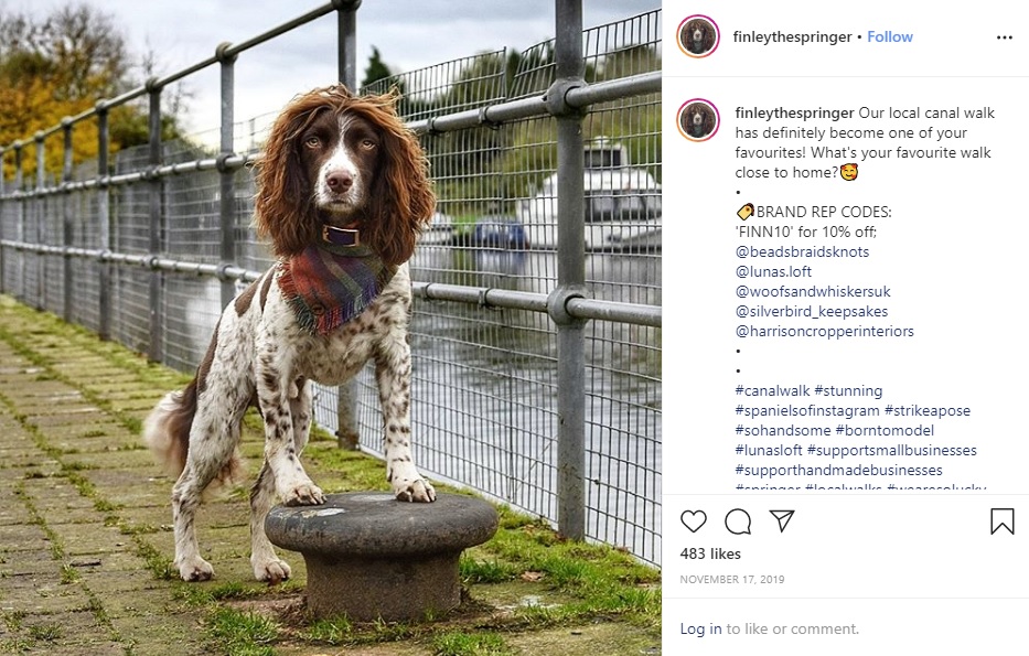 運河のそばを散歩するフィンリー（画像は『Finn, creator of hair envy　2019年11月17日付Instagram「Our local canal walk has definitely become one of your favourites!」』のスクリーンショット）