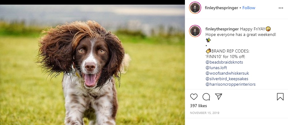 風になびくヘアーが凛々しいフィンリー（画像は『Finn, creator of hair envy　2019年11月15日付Instagram「Aww what a gorgeous smile!」』のスクリーンショット）