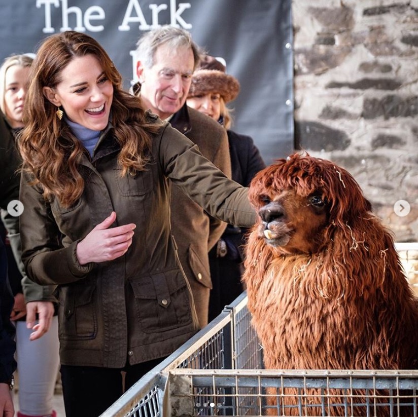 動物との触れ合いを楽しむキャサリン妃（画像は『Kensington Palace　2020年2月12日付Instagram「Today The Duchess of Cambridge has taken her UK-wide ＃5BigQuestions survey to Northern Ireland and Scotland, starting with a visit to ＠TheArkOpenFarm in County Down, Northern Ireland.」』のスクリーンショット）