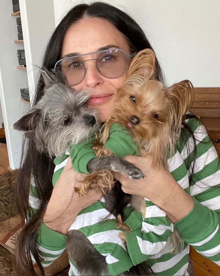 自己隔離中のデミ・ムーア（画像は『Demi Moore　2020年4月9日付Instagram「Mama’s fur babies!」』のスクリーンショット）