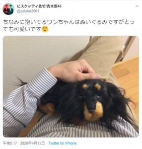 抱いている犬はぬいぐるみ（画像は『ビスケッティ佐竹/吉本坂46　2020年4月12日付Twitter「ちなみに抱いてるワンちゃんはぬいぐるみですがとっても可愛いです」』のスクリーンショット）