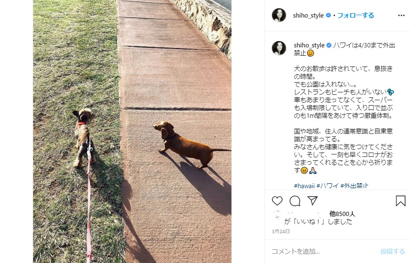 愛犬との散歩が息抜きの時間とSHIHO（画像は『SHIHO　2020年3月24日付Instagram「ハワイは4/30まで外出禁止」』のスクリーンショット）