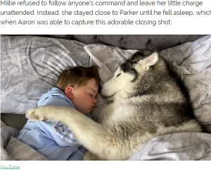 【海外発！Breaking News】「一緒に寝たい！」2歳児に添い寝する飼い犬が超キュート（英）＜動画あり＞