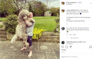 身体を伸ばすと180センチを超える“ロルフ”（画像は『Craig Pankhurst　2020年4月5日付Instagram「How can a dog of this size escape?」』のスクリーンショット）