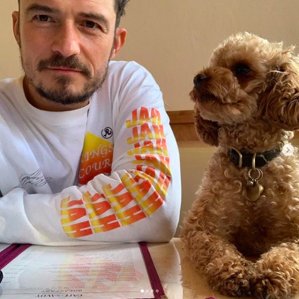 オーランドと愛犬の“マイティくん”（画像は『Orlando Bloom　2020年7月19日付Instagram「I don’t recall a time in my life where I’ve been so broken wide open.」』のスクリーンショット）