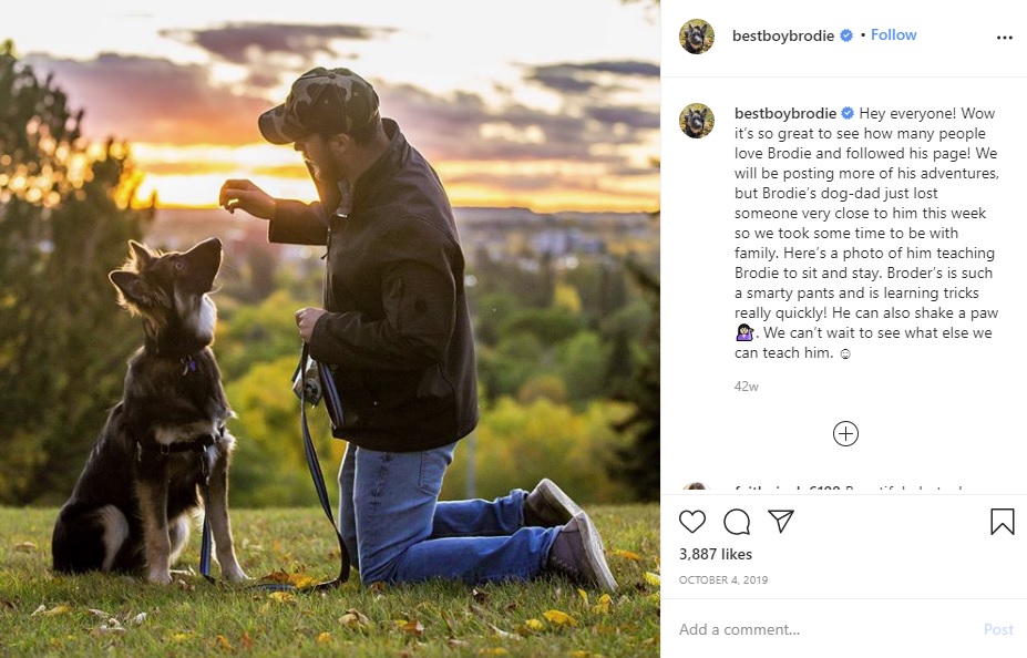 大好きな飼い主と一緒のブロディ（画像は『Brodie　2019年10月4日付Instagram「Hey everyone!」』のスクリーンショット）