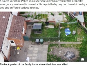 事故があったドンカスターの一軒家（画像は『The Sun　2020年9月17日付「‘WORST NIGHTMARE’ Newborn baby mauled to death by ‘jealous’ family dog who escaped from garden pen, says heartbroken uncle」』のスクリーンショット）