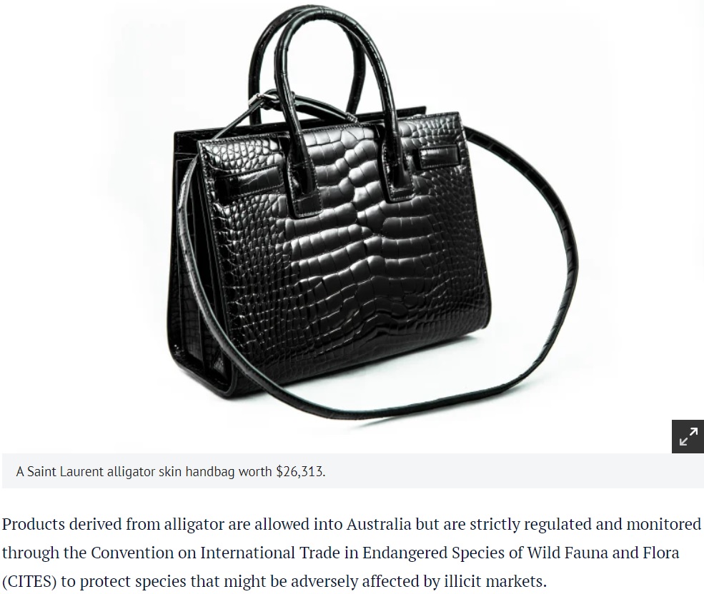 押収された200万円超のワニ革のバッグ（画像は『The Sydney Morning Herald　2020年9月3日付「Customs destroys ＄26k alligator skin bag after woman failed to buy ＄70 permit」』のスクリーンショット）