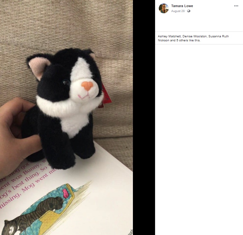 手紙と一緒に届いた猫のぬいぐるみ（画像は『Tamara Lowe　2020年8月28日付Facebook「I HAVE FOUND HIM!! Thankyou for your help Facebook!」』のスクリーンショット）