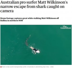 【海外発！Breaking News】サーファーの背後に迫るサメ　戦慄の瞬間をドローンが捉える（豪）＜動画あり＞
