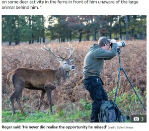 鹿も気付いてもらいたい？（画像は『The Sun　2020年11月7日付「NO I-DEER Photographer stands completely unaware of a stag just feet away from him」（Credit: Solent News）』のスクリーンショット）