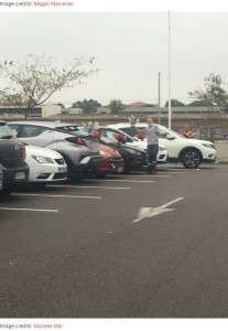 嬉しいサプライズを受けて喜ぶスタッフ（画像は『Bored Panda　2020年11月5日付「This Florist Places Hundreds Of Bouquets On Caregivers’ Cars In A Hospital Parking Lot After Being Forced To Throw Away Unsold Flowers」（Image credits: Murielle Mar）』のスクリーンショット）