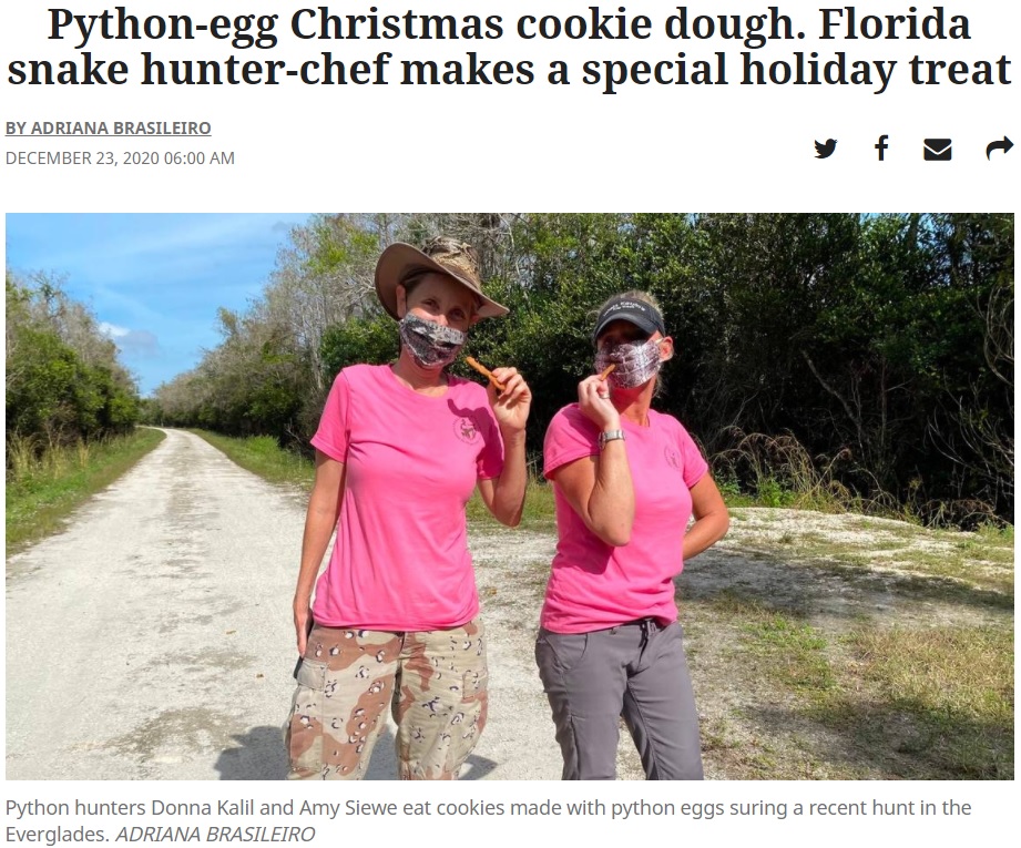 ヘビの卵を使ったクッキーを食べるパイソンハンターの女性たち（画像は『Miami Herald　2020年12月23日付「Python-egg Christmas cookie dough. Florida snake hunter-chef makes a special holiday treat」（ADRIANA BRASILEIRO）』のスクリーンショット）
