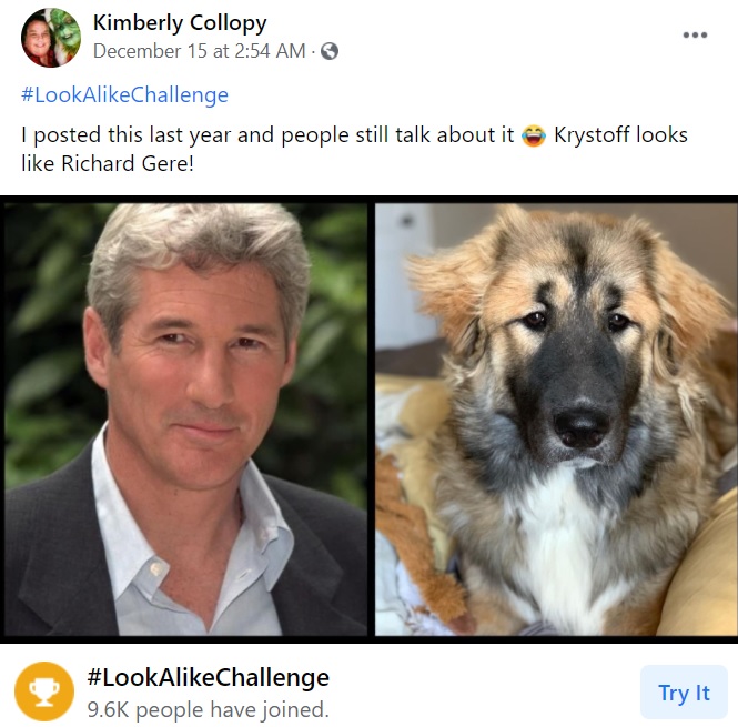 リチャード・ギアにそっくりな犬（画像は『Kimberly Collopy　2020年12月15日付Facebook「＃LookAlikeChallenge」』のスクリーンショット）