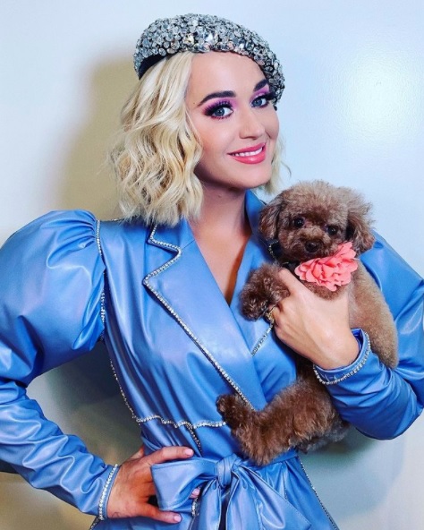 愛犬と一緒に4か月間のビーガン生活を明かしたケイティ・ペリー（画像は『KATY PERRY　2019年10月4日付Instagram「Get urself a pup who does it all」』のスクリーンショット）