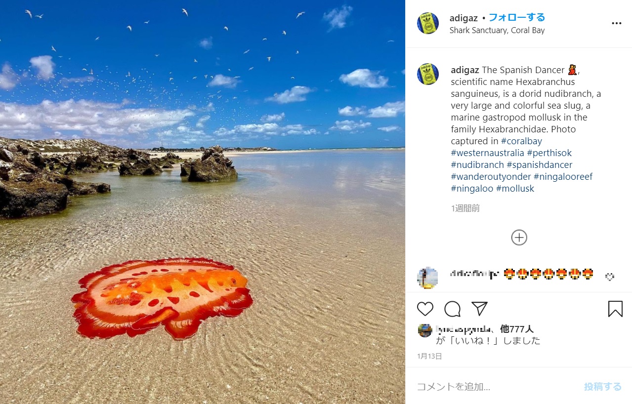 青い空と赤い“スパニッシュ・ダンサー”のコントラストが美しい（画像は『Adigaz　2021年1月13日付Instagram「The Spanish Dancer」』のスクリーンショット）