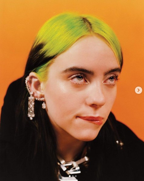 誤ってシリアルを大量注文したビリー（画像は『Vanity Fair　2021年1月26日付Instagram「Even before 2020, politics were always important in Billie Eilish’s family household.」』のスクリーンショット）