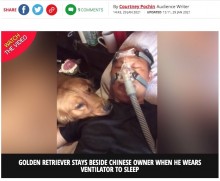 【海外発！Breaking News】初めて人工呼吸器をつけた飼い主を心配？　一晩中寄り添った犬（中国）＜動画あり＞