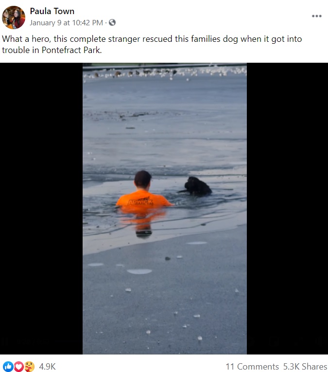 凍った湖で溺れる犬を救出する男性（画像は『Paula Town　2021年1月9日付Facebook「What a hero, this complete stranger rescued this families dog when it got into trouble in Pontefract Park.」』のスクリーンショット）