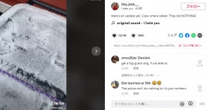 雪を払ってもかすかにサインが残ってしまっている（画像は『bby.jade__　2021年1月14日付TikTok「Here’s an update yall.」』のスクリーンショット）