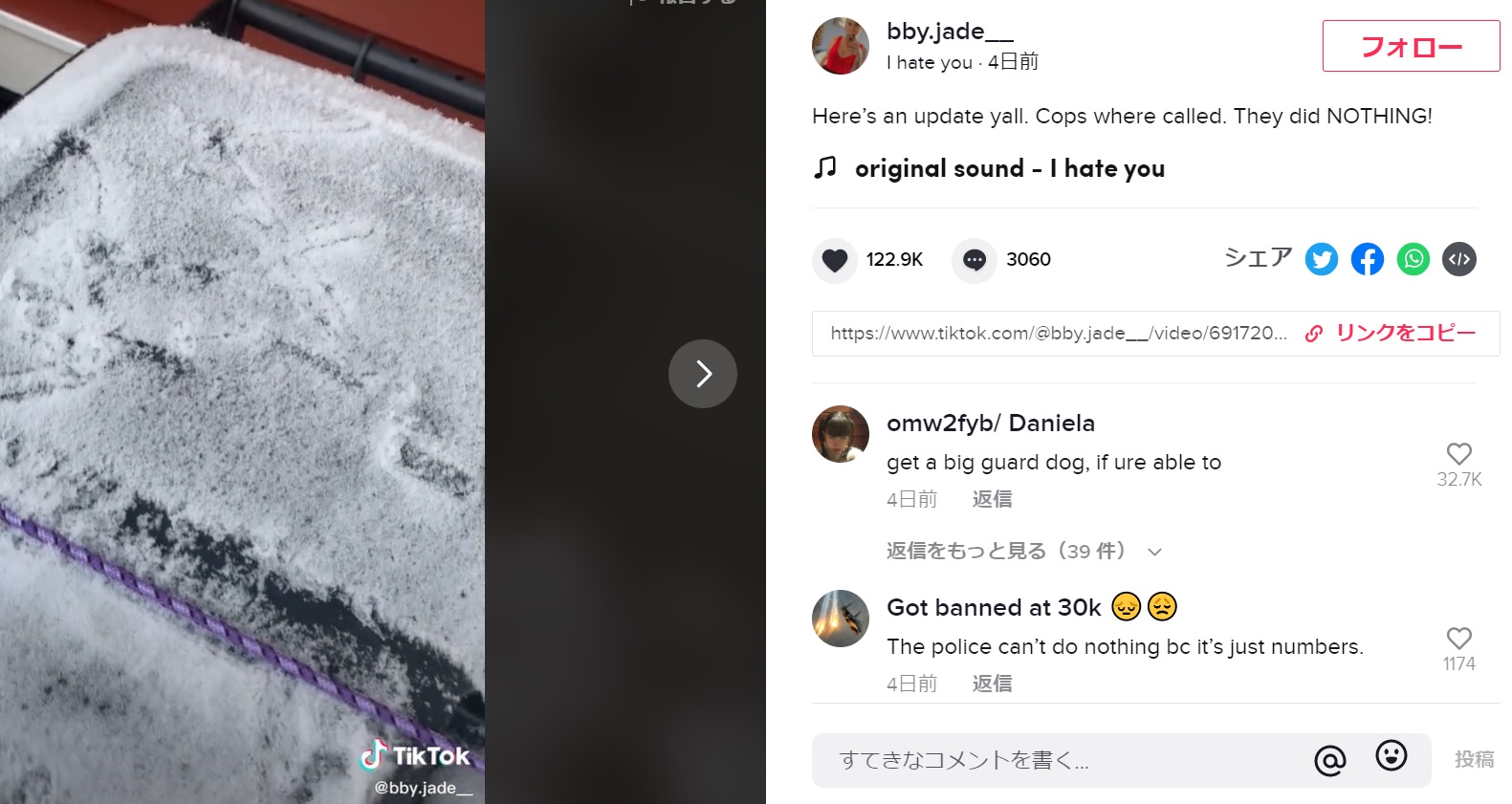 雪を払ってもかすかにサインが残ってしまっている（画像は『bby.jade__　2021年1月14日付TikTok「Here’s an update yall.」』のスクリーンショット）