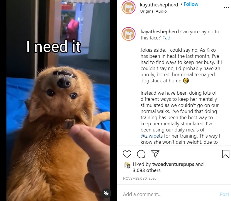 「どうやったらそんなに反ることができるの？」（画像は『Kaya ＆ Ashleigh the human　2020年11月30日付Instagram「Can you say no to this face?」』のスクリーンショット）