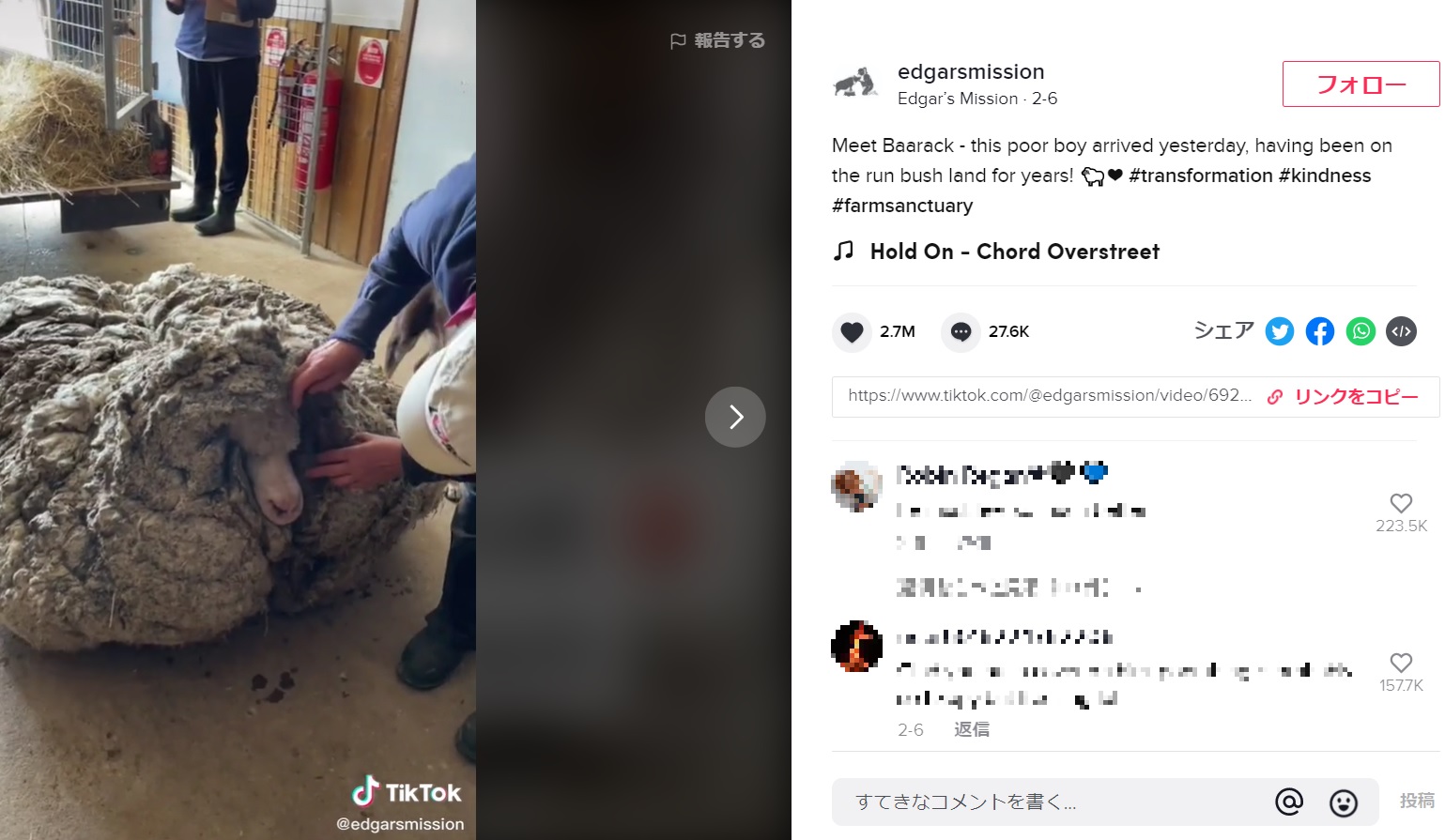 目の部分を覆うようにして体毛は伸びていた（画像は『Edgar’s Mission　2021年2月6日付TikTok「Meet Baarack - this poor boy arrived yesterday, having been on the run bush land for years!」』のスクリーンショット）